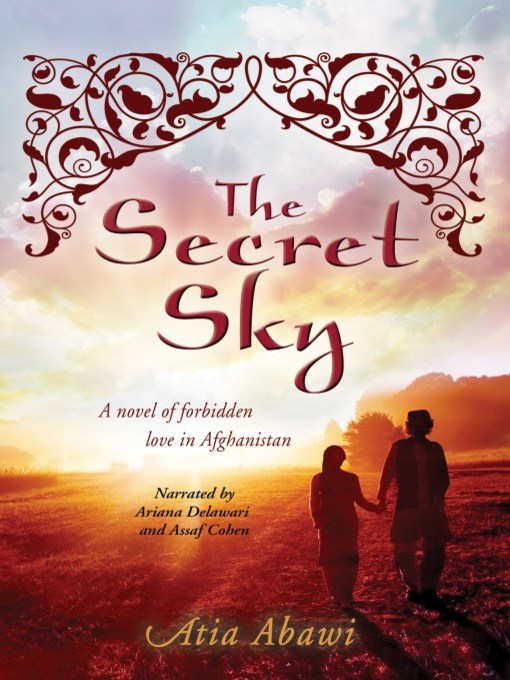 Cover image for The Secret Sky